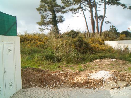  : property For Sale Obidos Portugal
