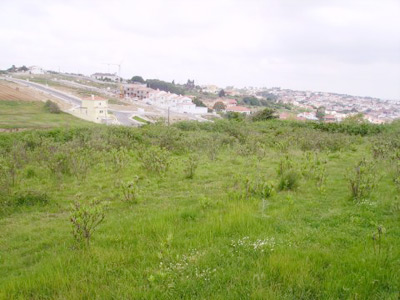  : property For Sale Lourinhã Portugal